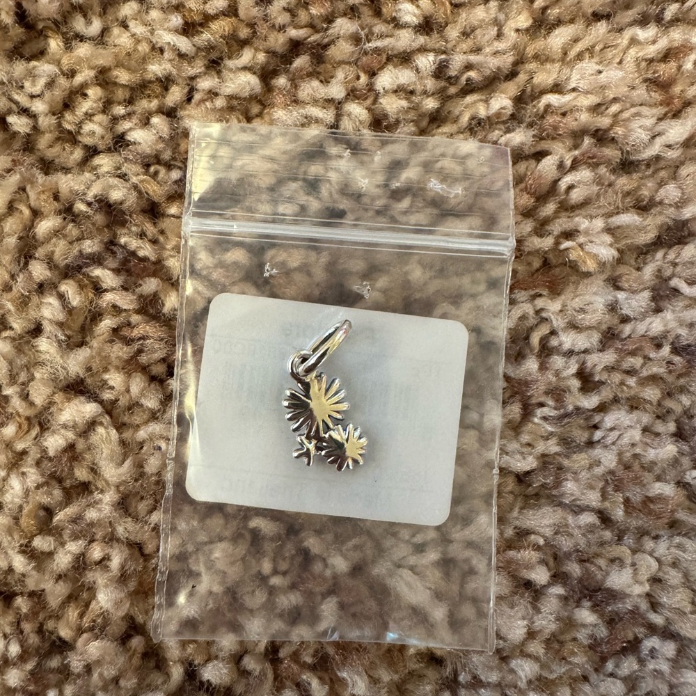 Pandora Silver Charm (brand new!)